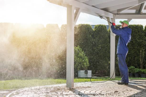 Best Animal Enclosure Cleaning  in Tucumcari, NM